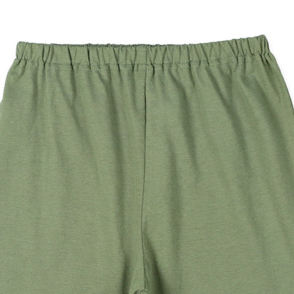 Dinosaur Short Sleeve T-shirt and Pants Set