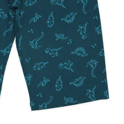 Dinosaur Long Underwear