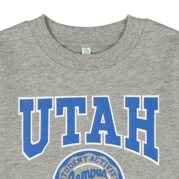 College Sweatshirt (Winter, Spring, Autumn)