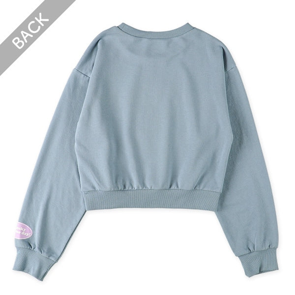 Long Sleeve Sweatshirt (Spring)