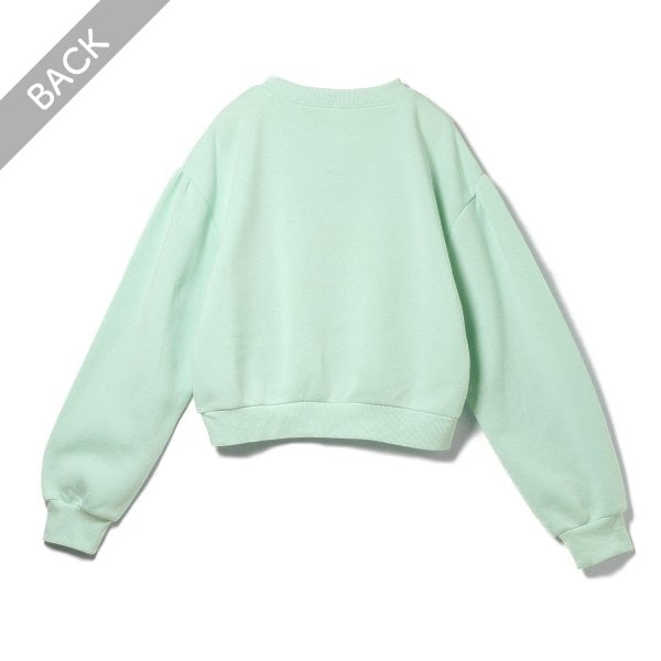 Girls' Schoolwear Brushed Sweatshirt (Winter)