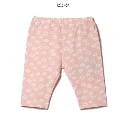 Knit Shorts