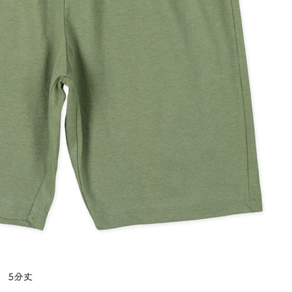 Dinosaur Short Sleeve T-shirt and Pants Set