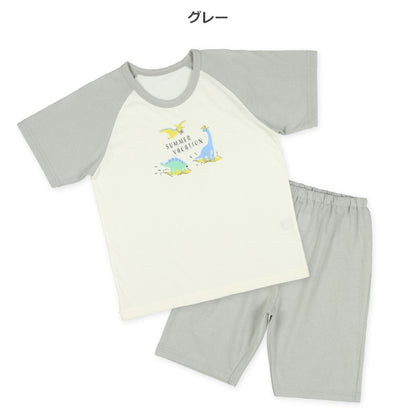 Dinosaur Short Sleeve T-shirt and Pants Set