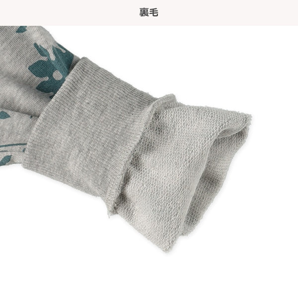 Dinosaur  Sweatshirt (Spring)