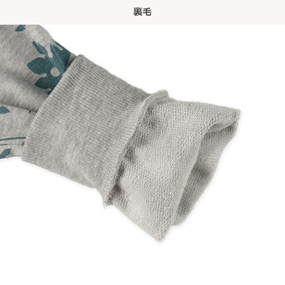 Dinosaur  Sweatshirt (Spring)