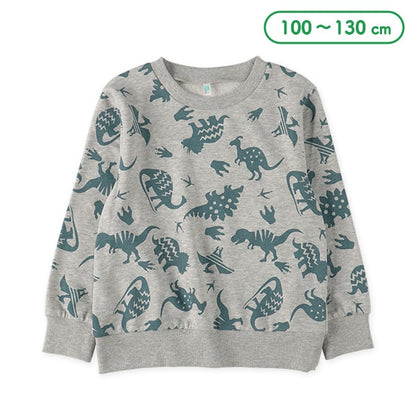 Dinosaur  Sweatshirt (Spring)