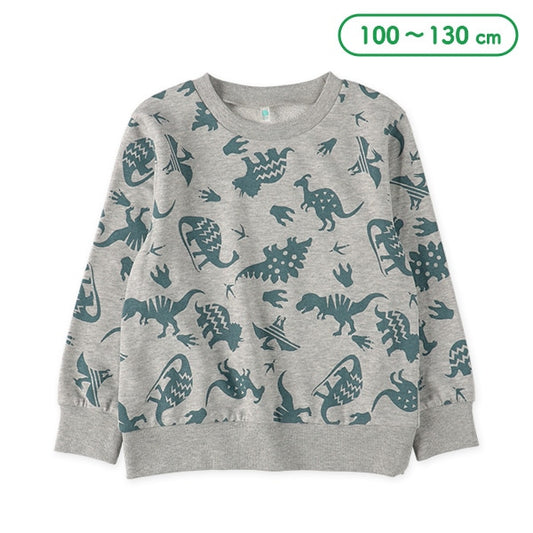 Dinosaur  Sweatshirt (Spring)