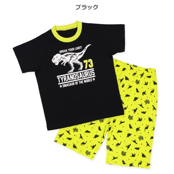 Dinosaur Short Sleeve T-shirt and Pants Set