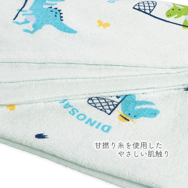 Towel Blanket