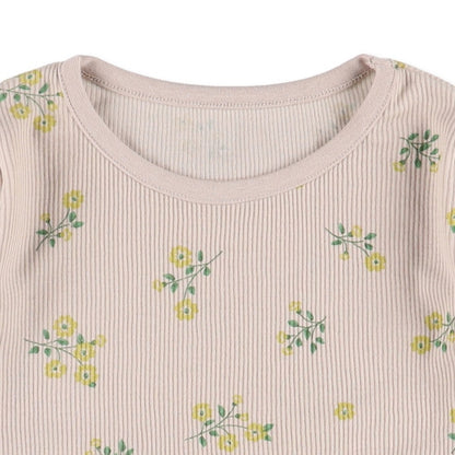 Knit PA (Autumn, Winter, Spring)