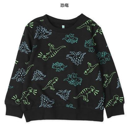 Sweatshirt (Spring)