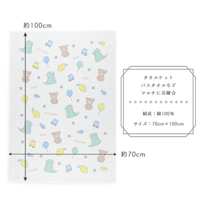 Towel Blanket