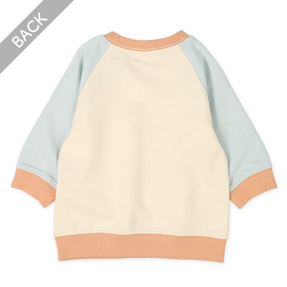 Color Block Raglan Sleeve Sweatshirt (Spring)