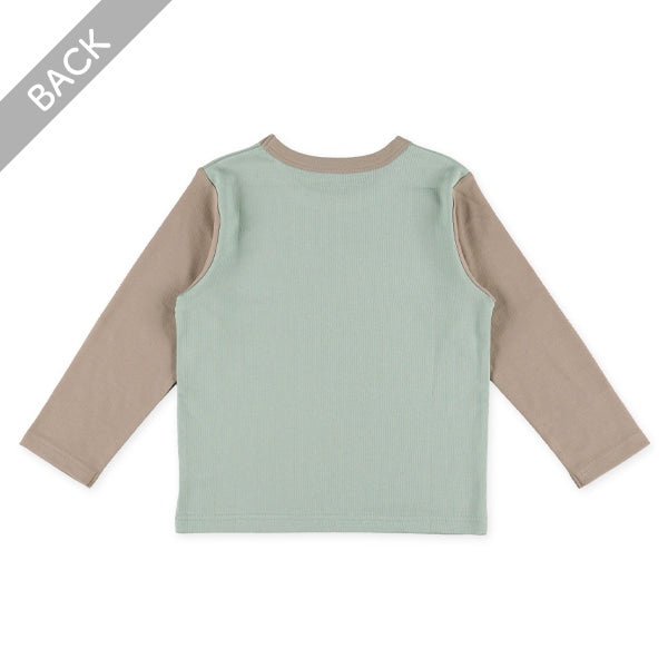 Basic (Autumn, Winter, Spring)