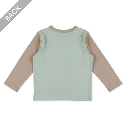 Basic (Autumn, Winter, Spring)