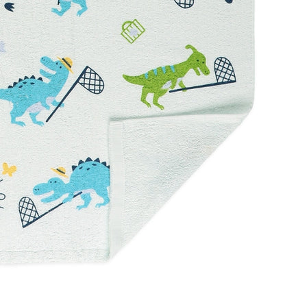 Towel Blanket