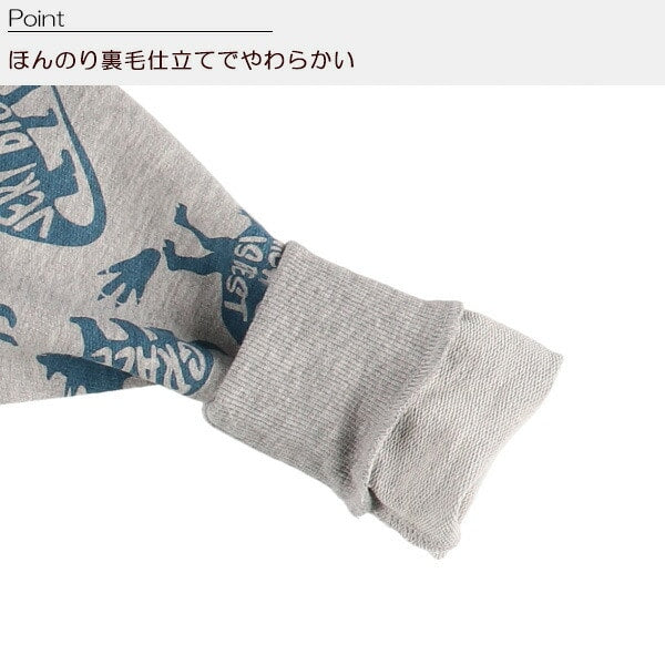 Dinosaur Long Sleeve T-shirt