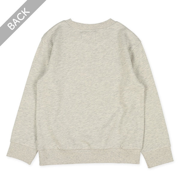 Plain Sweatshirt (Winter, Spring, Autumn)