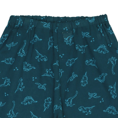 Dinosaur Long Underwear
