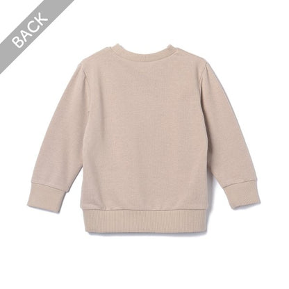 Small Embroidered Sweatshirt (Winter, Spring, Autumn)