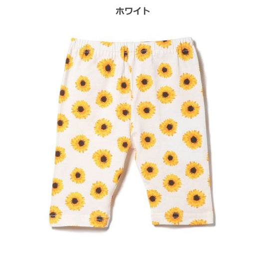 Sunflower Knit Shorts