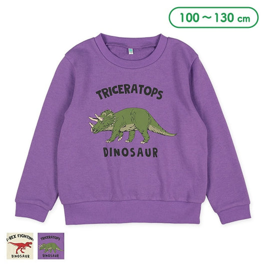 Big Dinosaur Print Sweatshirt (Winter, Spring, Autumn)