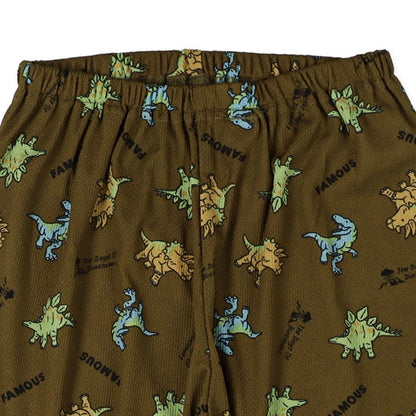 Dinosaur Long Underwear