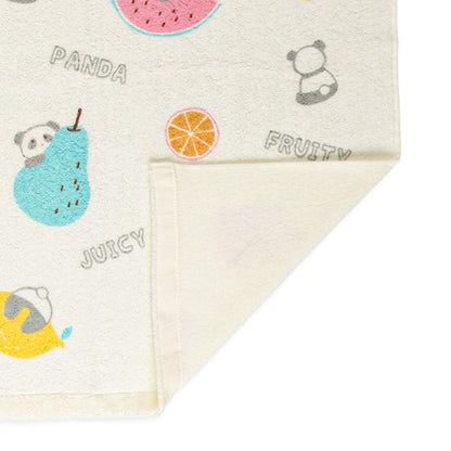Towel Blanket