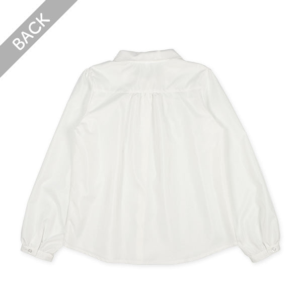 Polo Shirt  (Winter, Spring, Autumn)