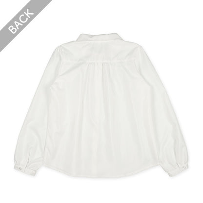 Polo Shirt  (Winter, Spring, Autumn)