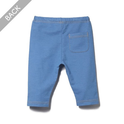Denim Knit Shorts