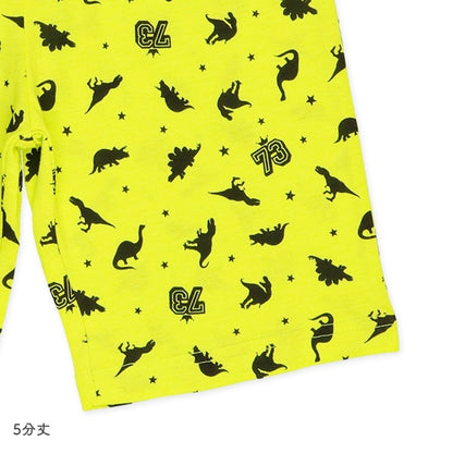 Dinosaur Short Sleeve T-shirt and Pants Set