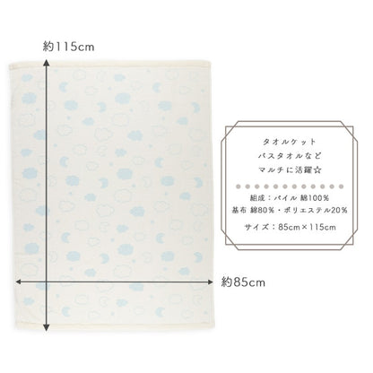 Towel Blanket