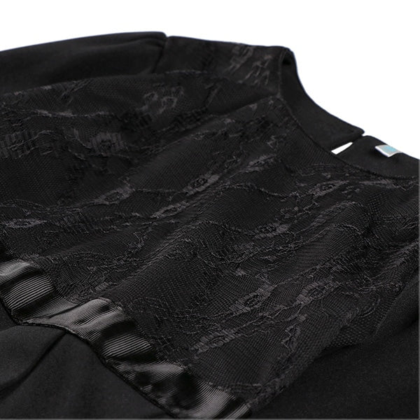 Plain Formal Pleated Dress (Winter, Spring, Autumn)