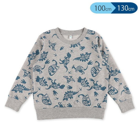 Dinosaur Long Sleeve T-shirt