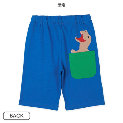 Kinit Shorts