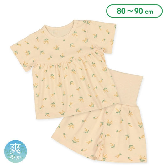 Short Sleeve T-shirt and High Waist Pants Set