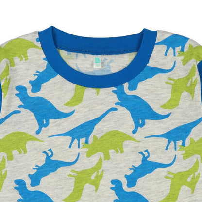 Dinosaur Long Sleeve T-shirt