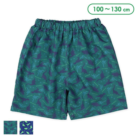 Dinosaur Swimwear