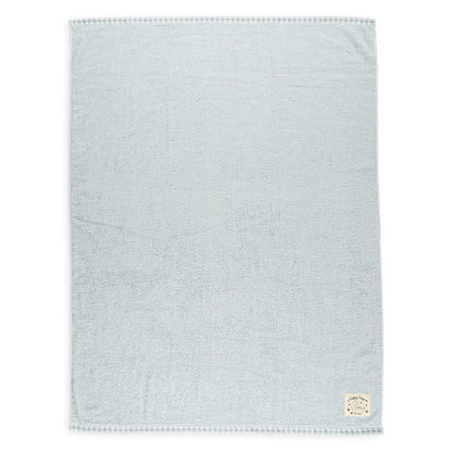 Dinosaur Towel Blanket