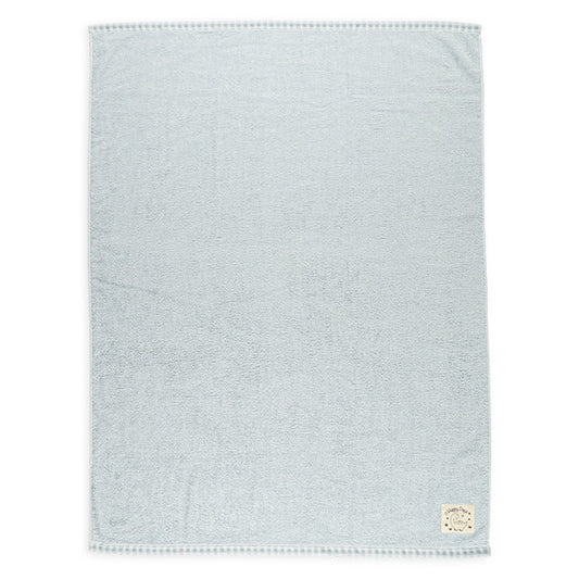 Dinosaur Towel Blanket