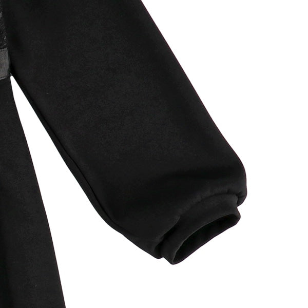 Plain Formal Pleated Dress (Winter, Spring, Autumn)