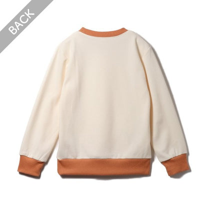 Kids' Boy Brushed Sweatshirt (Winter)