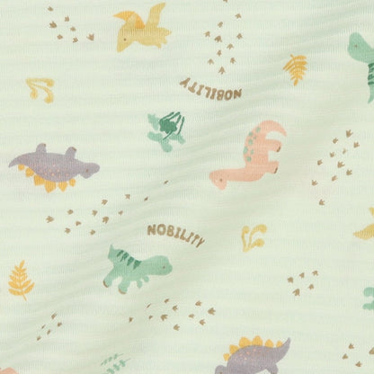 Dinosaur T-shirt and Pants Set