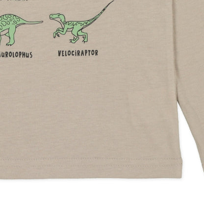 Dinosaurs Long Sleeve Shirt (Winter, Spring, Autumn)