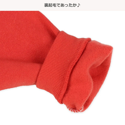 Brushed Lined Pajama Pants for Baby Boys