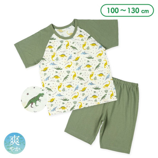 Dinosaur Short Sleeve T-shirt and Pants Set