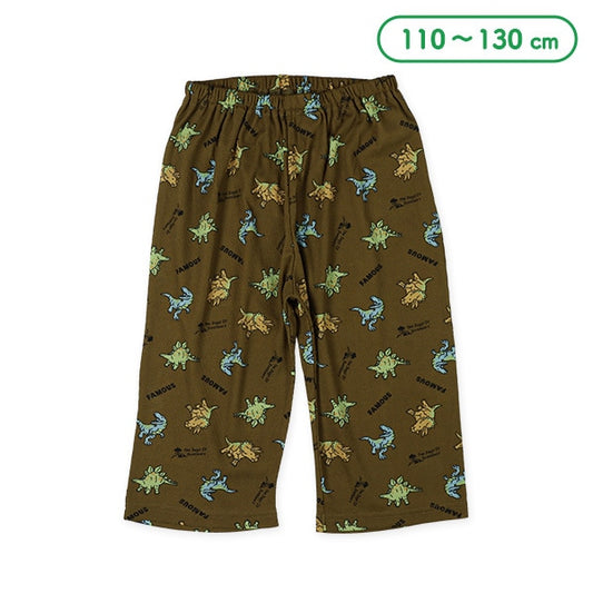 Dinosaur Long Underwear