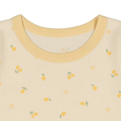 Bundle PA Autumn/Winter/Spring